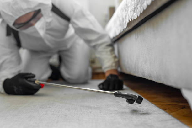 Professional Ant Control technician working in Trowbridge Park, MI
