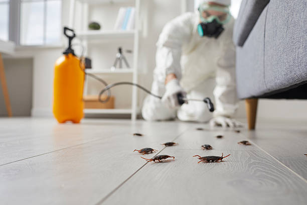 Trusted Rodent Control service in Trowbridge Park, MI - Nex Pest Control