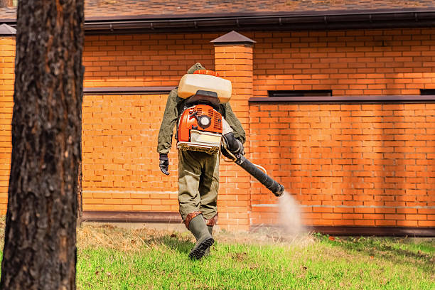Trusted Emergency Pest Control service in Trowbridge Park, MI - Nex Pest Control